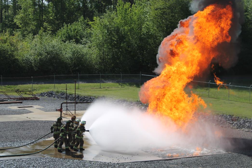 Fire training 1